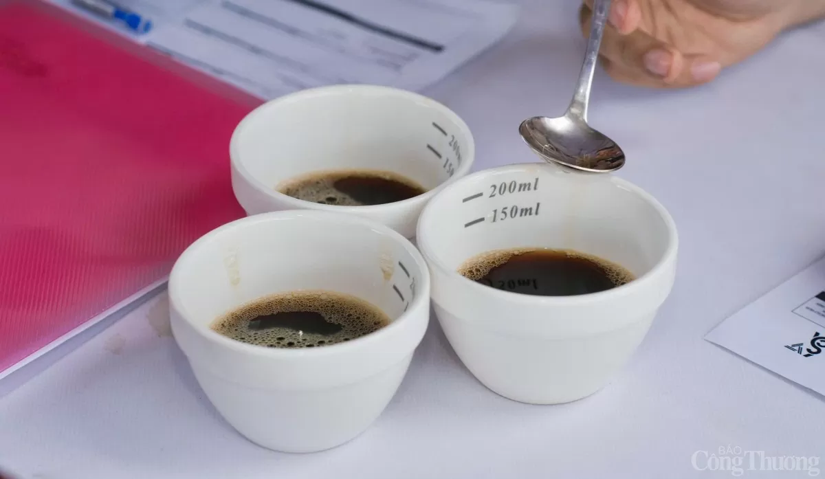 'Barista Teamwork': Khi đam mê cà phê thăng hoa giữa đại ngàn