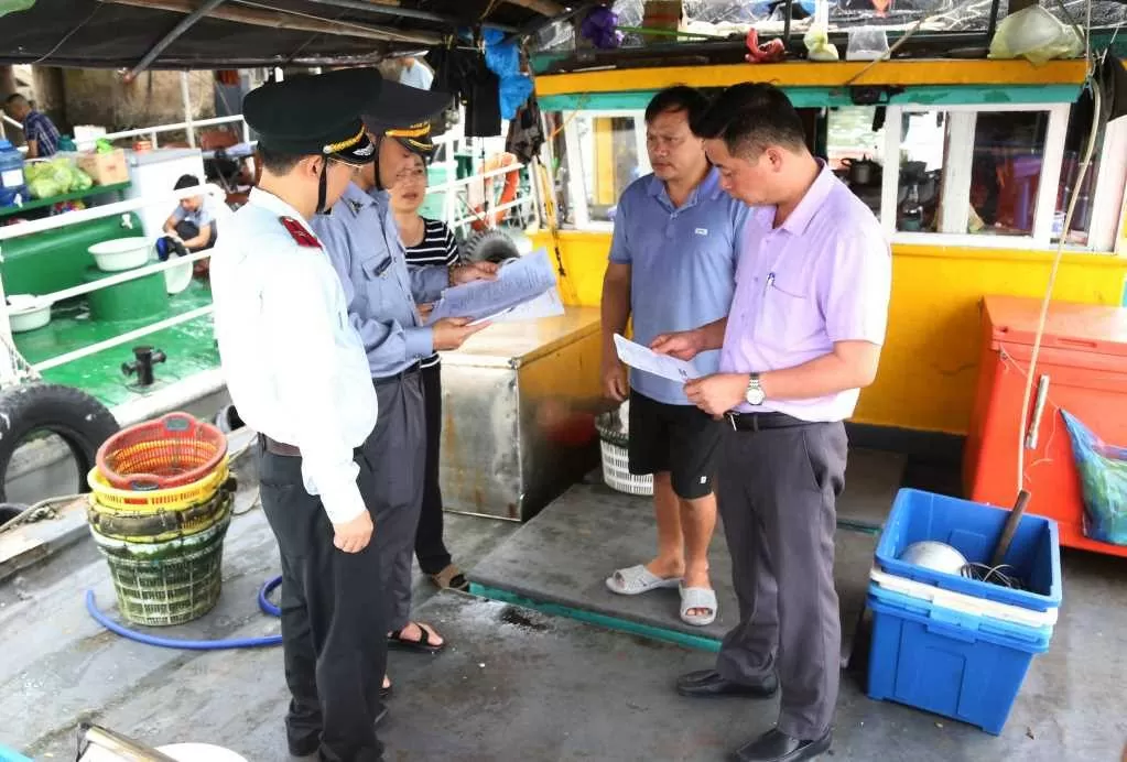 Tàu du lịch hoạt động trên vịnh Hạ Long. Ảnh: Vĩnh Quân