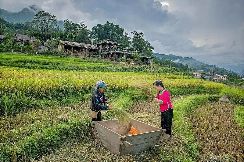 Trải nghiệm cuộc sống như người bản địa tại Tả Van - Sapa. Ảnh: Hoàn An