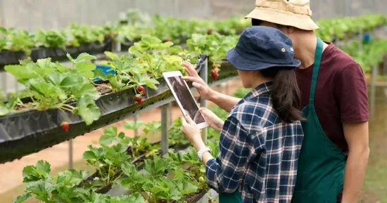 Sản phẩm nông nghiệp