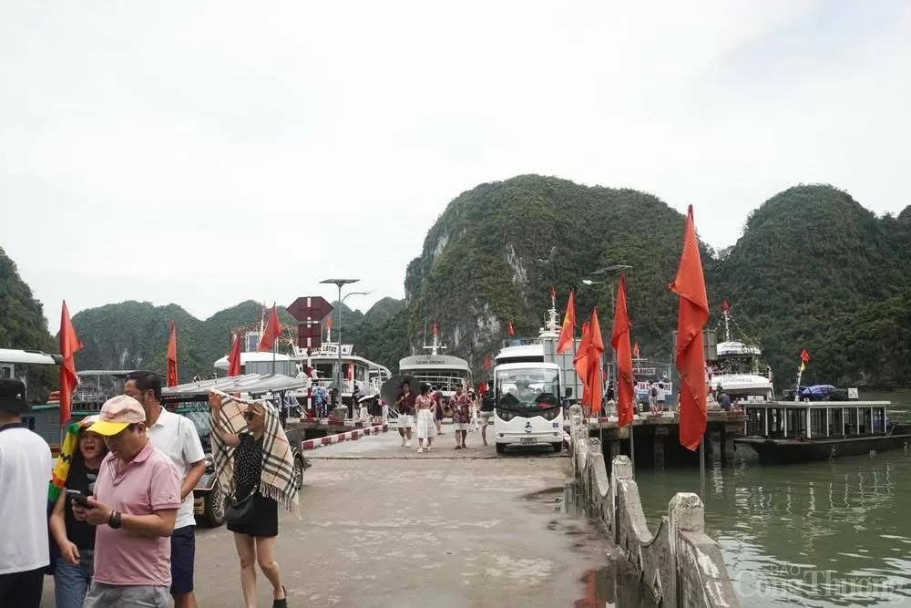 Hải Phòng: Đảo Cát Bà đón 107.850 lượt khách dịp nghỉ lễ