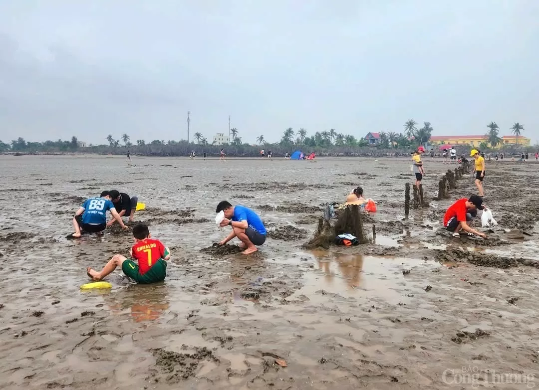 Hải Phòng: Đảo Cát Bà đón 107.850 lượt khách dịp nghỉ lễ