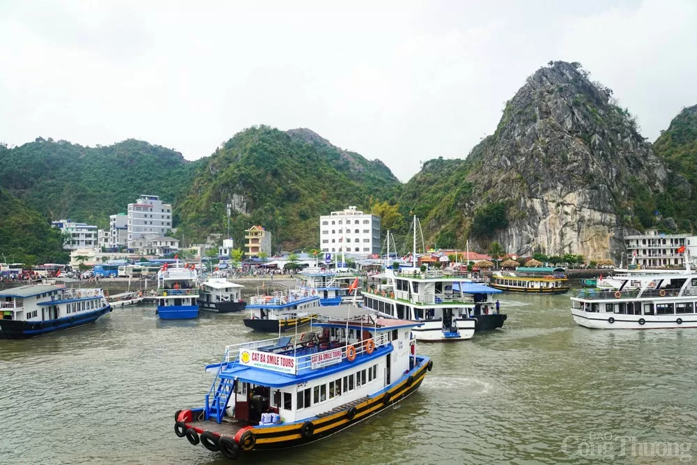 Hải Phòng: Đảo Cát Bà đón 107.850 lượt khách dịp nghỉ lễ
