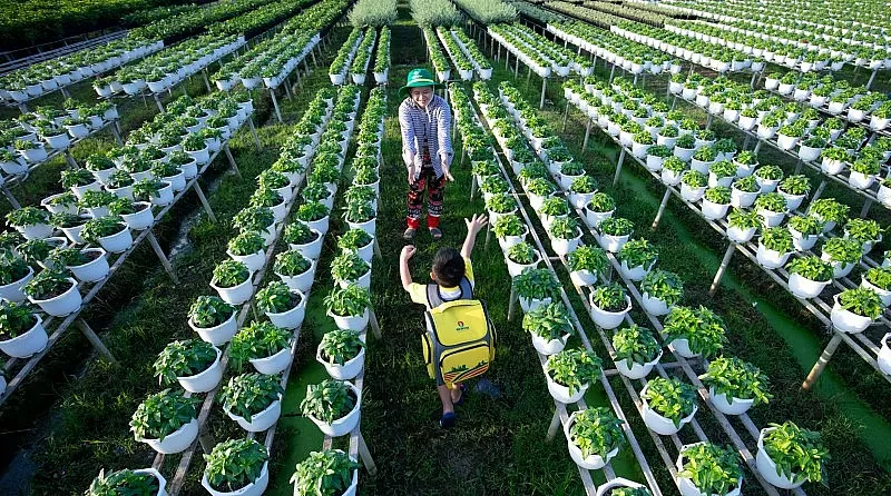 PVCFC ngày càng đề cao trách nhiệm doanh nghiệp trong bối cảnh thị trường toàn cầu