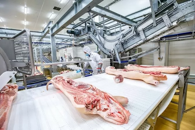 Việt Nam xuất khẩu thịt sang thị trường nào nhiều nhất?