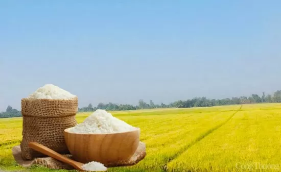 Giá lúa gạo hôm nay ngày 14/5: Biến động trái chiều