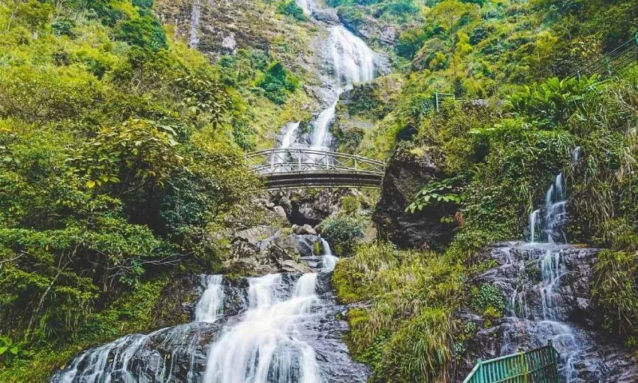 Lào Cai phê duyệt đề án du lịch trong rừng phòng hộ Sa Pa