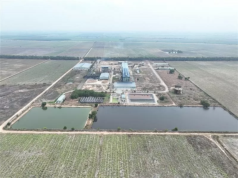 Nhà máy Ninh Điền – Hành trình hồi phục và định vị lại vai trò ngành mía đường tại Tây Ninh