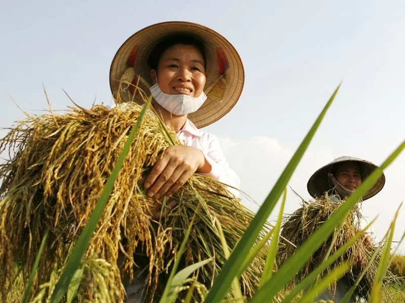 Các mô hình “Câu lạc bộ nông dân sản xuất, kinh doanh giỏi”, “Nhà nông sáng tạo”, “Nhà nông đua tài” được duy trì hiệu quả. Ảnh: Hoàng Giang