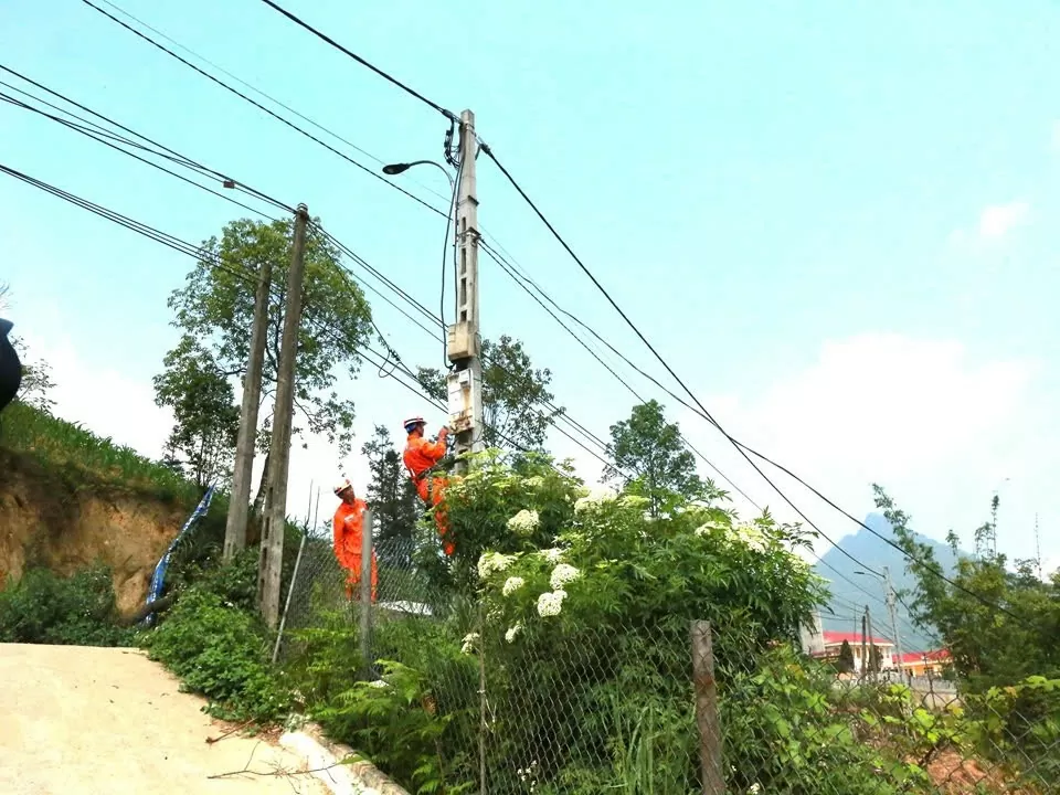 Lào Cai: Khách hàng đồng hành cùng chương trình DR
