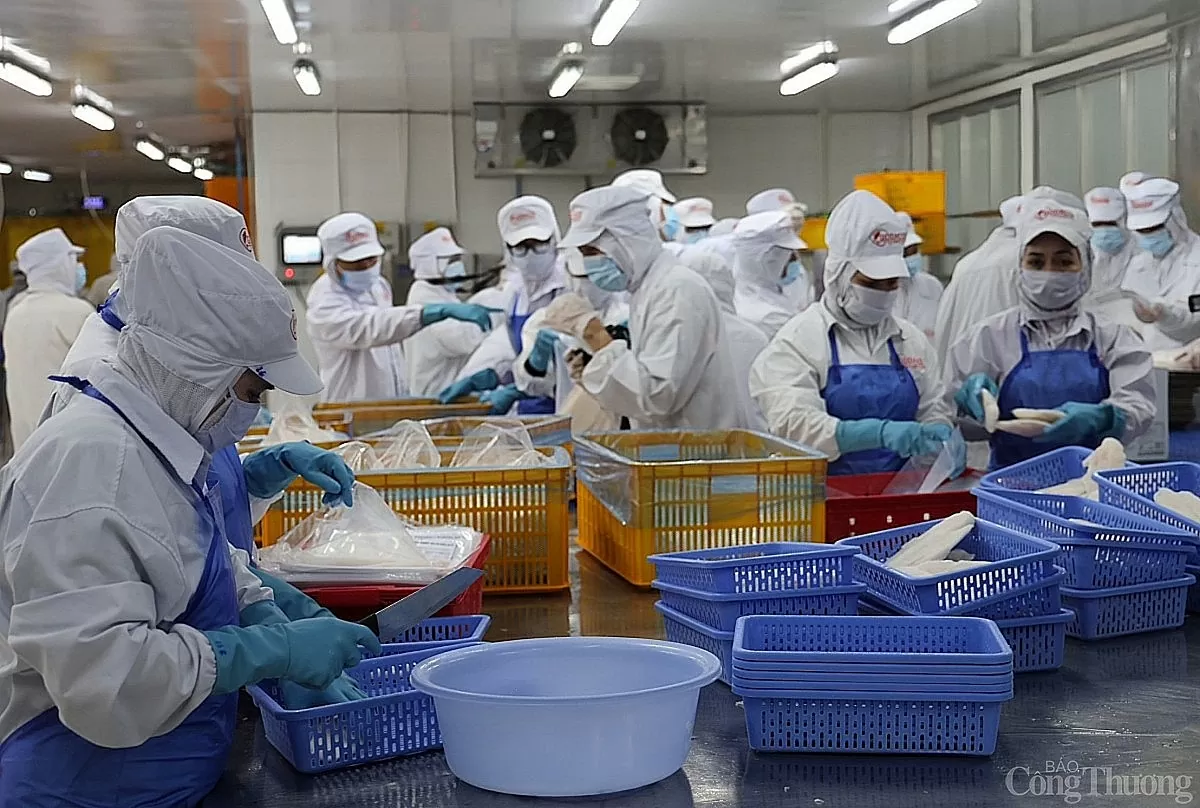 Tiền Giang xuất khẩu gần 2 tỷ USD trong 4 tháng năm 2025