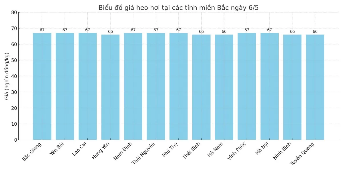 Biểu đồ giá heo hơi tại các tỉnh miền Bắc ngày 6/5.