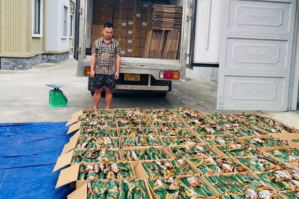 Công an tỉnh Tuyên Quang thu giữ 5,3 tấn chân gà rút xương