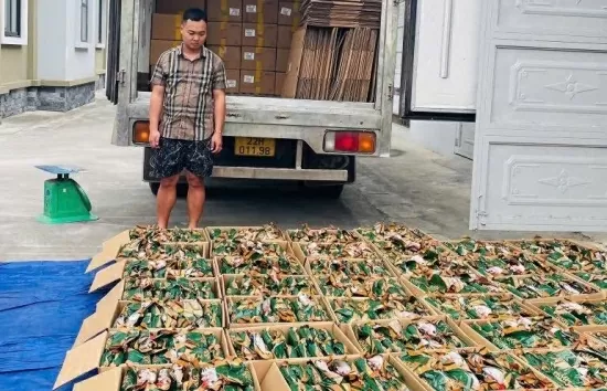 Công an tỉnh Tuyên Quang thu giữ 5,3 tấn chân gà rút xương