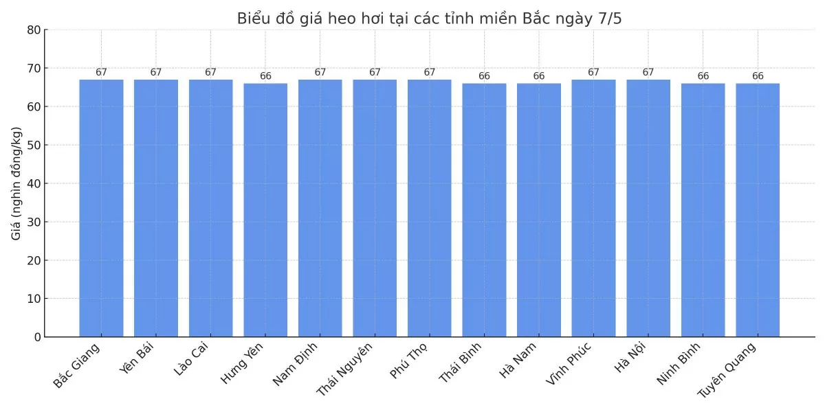 Biểu đồ giá heo hơi tại các tỉnh miền Bắc ngày 7/5.