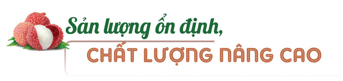 Longform | Vụ vải thiều 2025: Đặc sản miền núi bứt phá thị trường toàn cầu Longform | Vụ vải thiều 2025: Đặc sản miền núi bứt phá thị trường toàn cầu