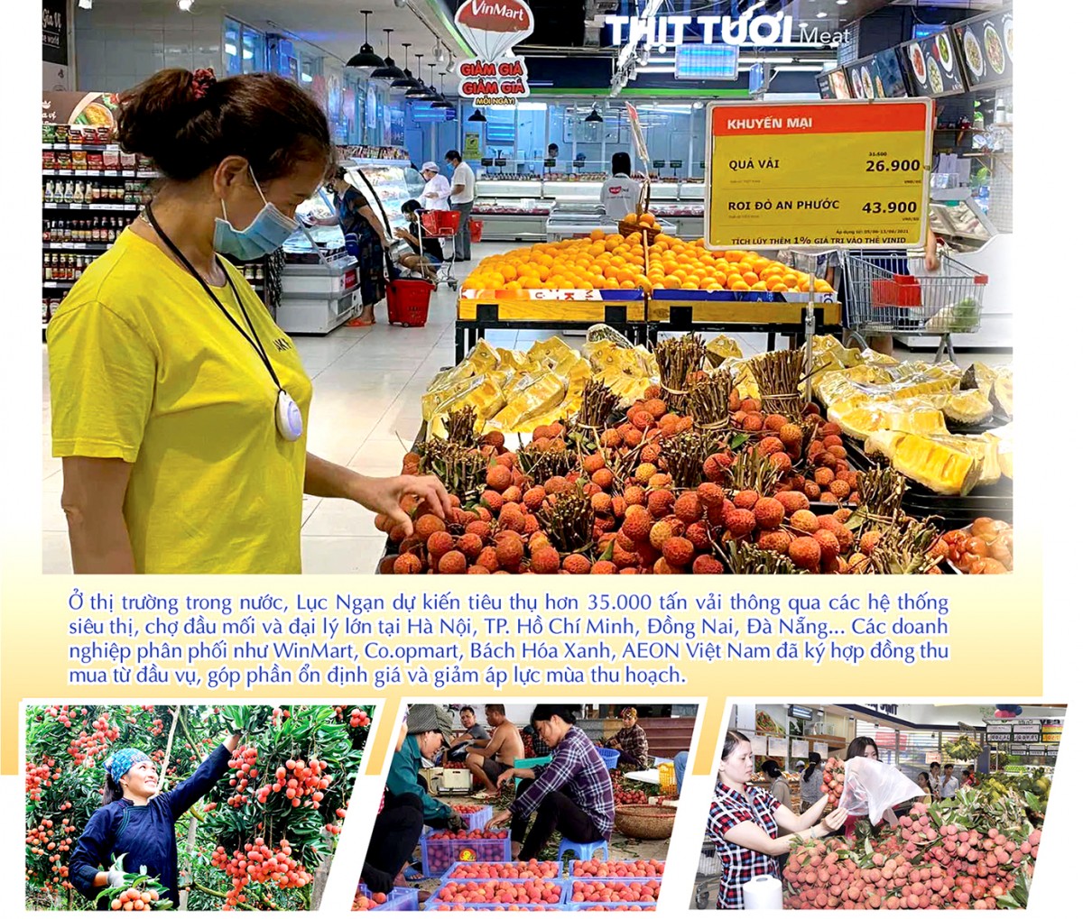 Longform | Vụ vải thiều 2025: Đặc sản miền núi bứt phá thị trường toàn cầu