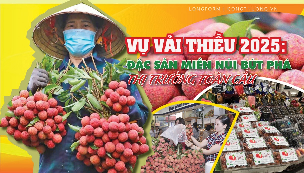 Longform | Vụ vải thiều 2025: Đặc sản miền núi bứt phá thị trường toàn cầu Longform | Vụ vải thiều 2025: Đặc sản miền núi bứt phá thị trường toàn cầu