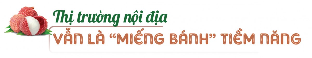 Longform | Vụ vải thiều 2025: Đặc sản miền núi bứt phá thị trường toàn cầu Longform | Vụ vải thiều 2025: Đặc sản miền núi bứt phá thị trường toàn cầu