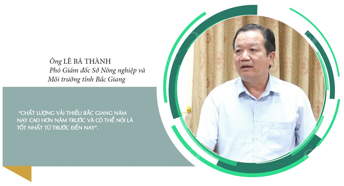 Longform | Vụ vải thiều 2025: Đặc sản miền núi bứt phá thị trường toàn cầu