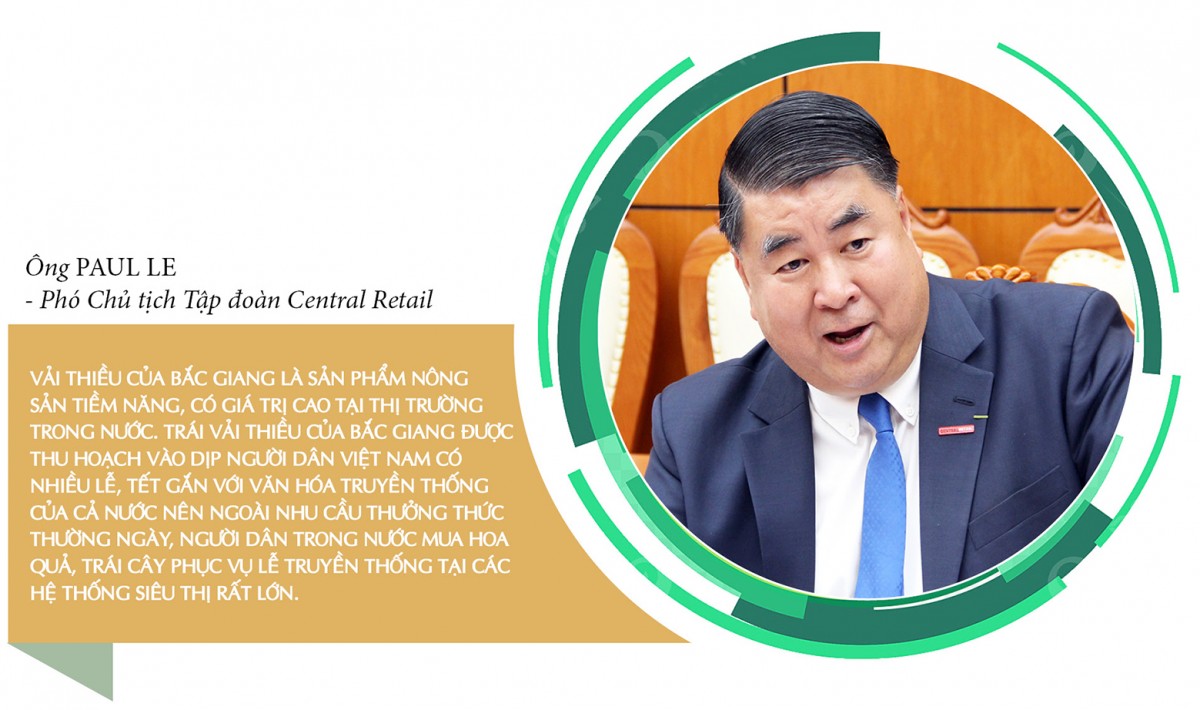 Longform | Vụ vải thiều 2025: Đặc sản miền núi bứt phá thị trường toàn cầu