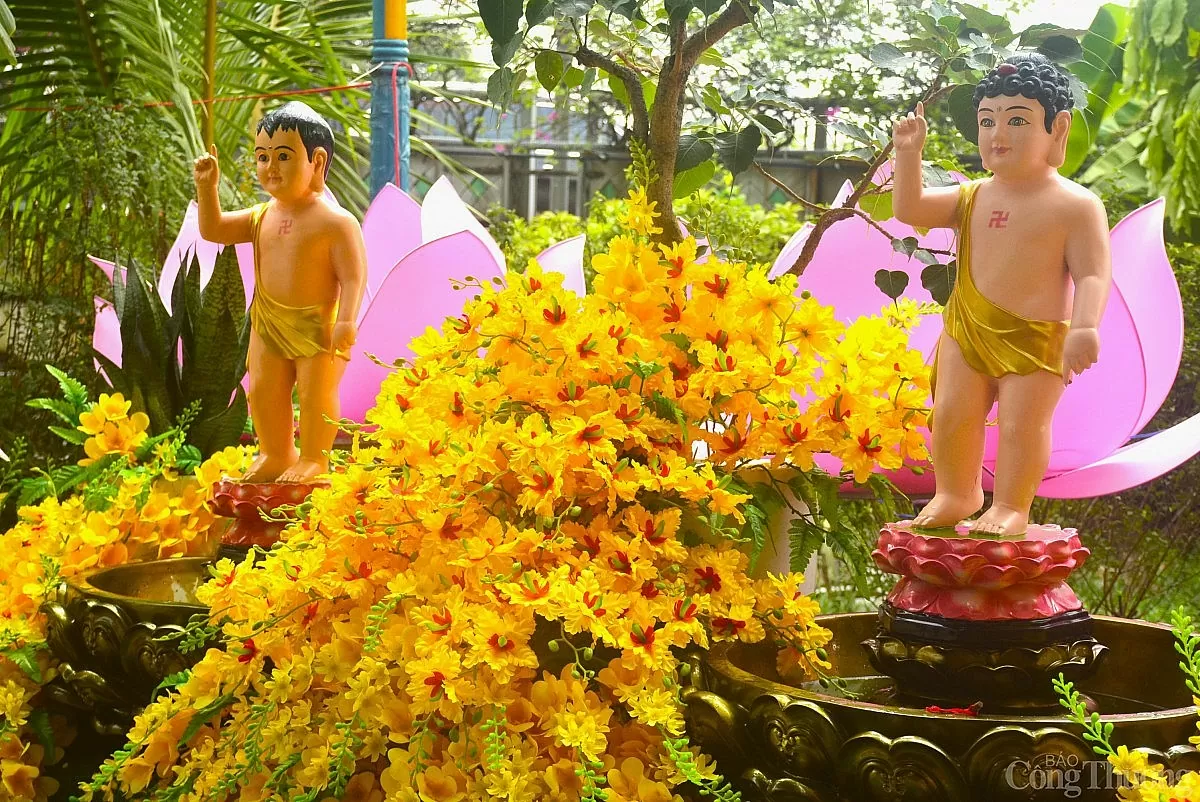 TP. Hồ Chí Minh ngập sắc cờ hoa trong Đại lễ Vesak