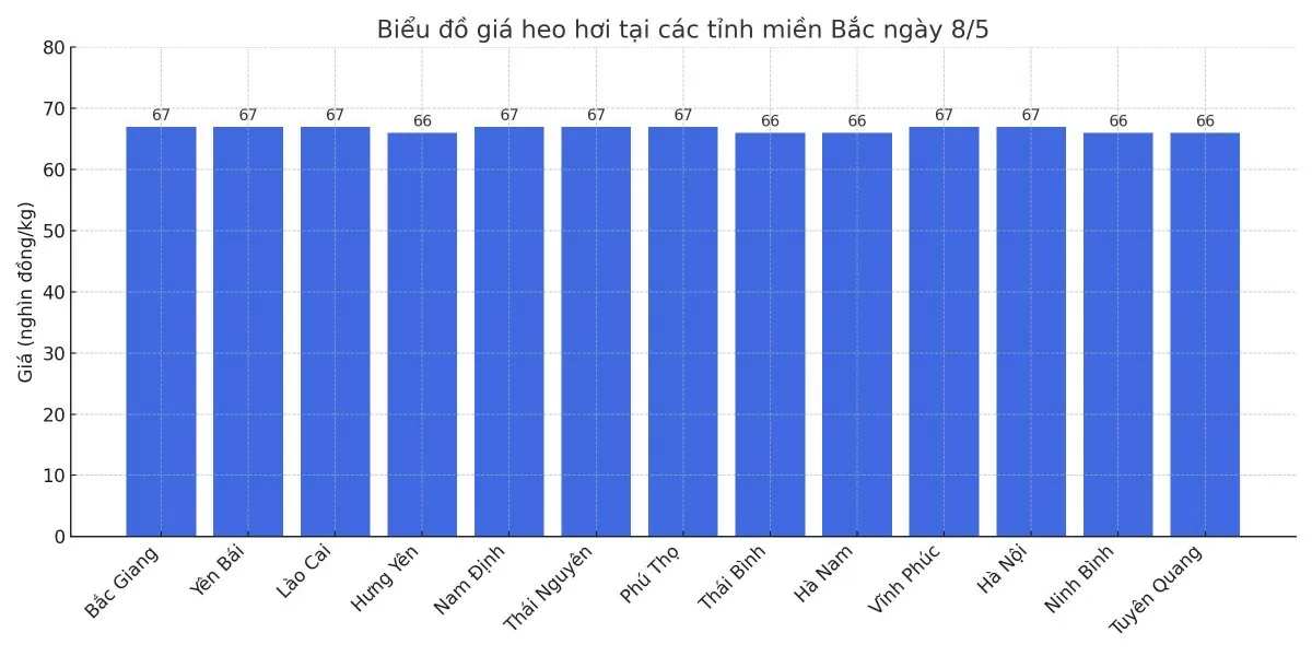 Biểu đồ giá heo hơi tại các tỉnh miền Bắc ngày 8/5.