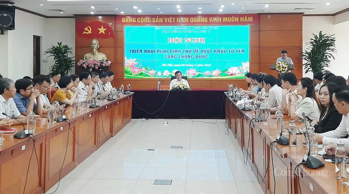 Lý do tổ yến
