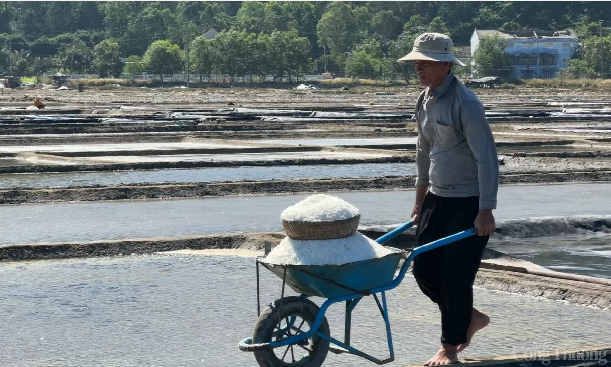 Diêm dân Ngô Tuấn mưu sinh giữa nắng gắt miền Trung