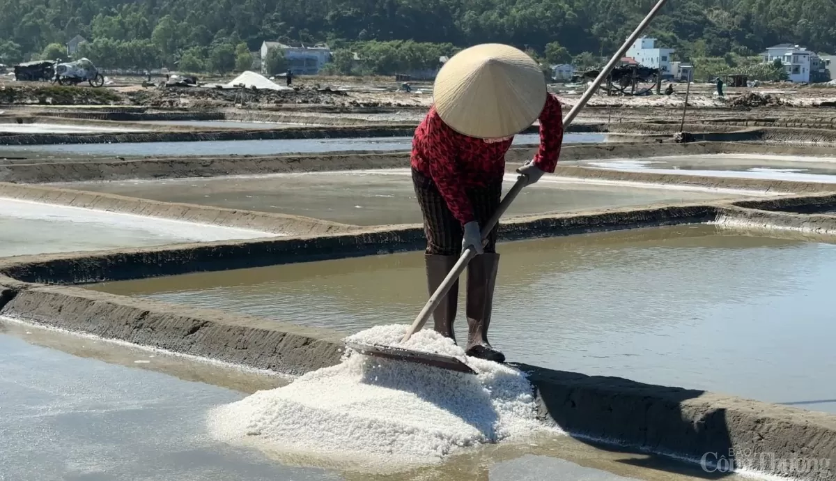 Người dân giữ nghề làm muối Sa Huỳnh không chỉ như là một kế sinh nhai mà còn là giữ nét văn hóa đậm bản sắc của địa phương đã nhiều trăm năm