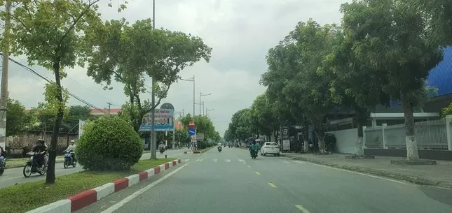Bạc Liêu: Rà soát các dự án cây xanh để phục vụ điều tra