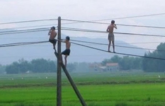 canh bao tai nan nghiem trong tu viec treo len cot dien cao the bat to chim
