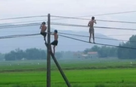 Cảnh báo tai nạn nghiêm trọng từ việc trèo lên cột điện cao thế bắt tổ chim
