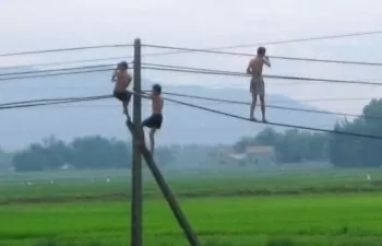 Cảnh báo tai nạn nghiêm trọng từ việc trèo lên cột điện cao thế bắt tổ chim