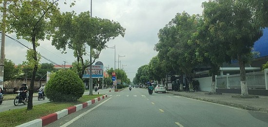 bac lieu ra soat cac du an cay xanh de phuc vu dieu tra