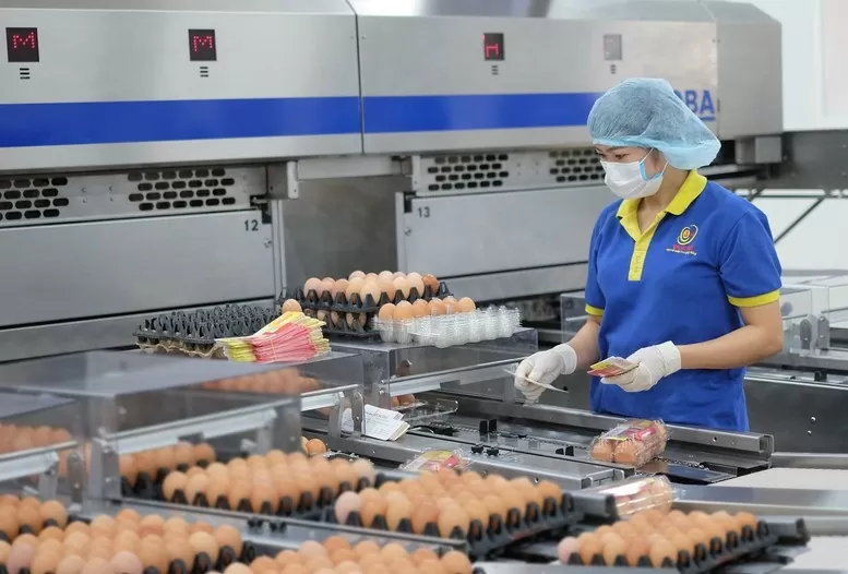 Thâm nhập thành công thị trường Canada: Bí quyết từ doanh nghiệp