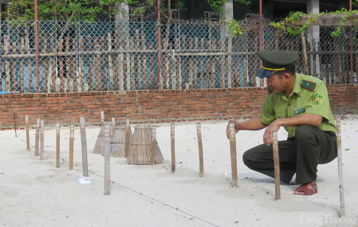 Chuyện những người giữ đảo ở Côn Đảo