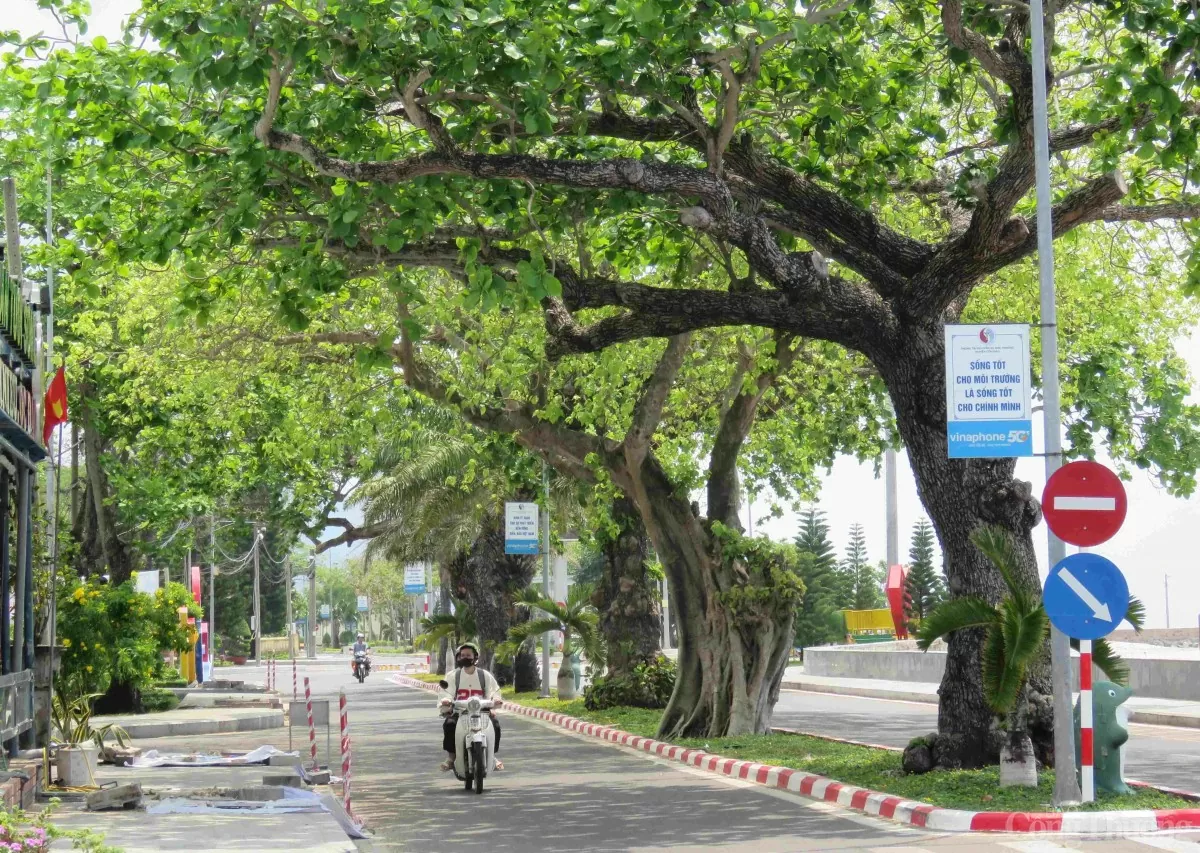 Chuyện những người giữ đảo ở Côn Đảo