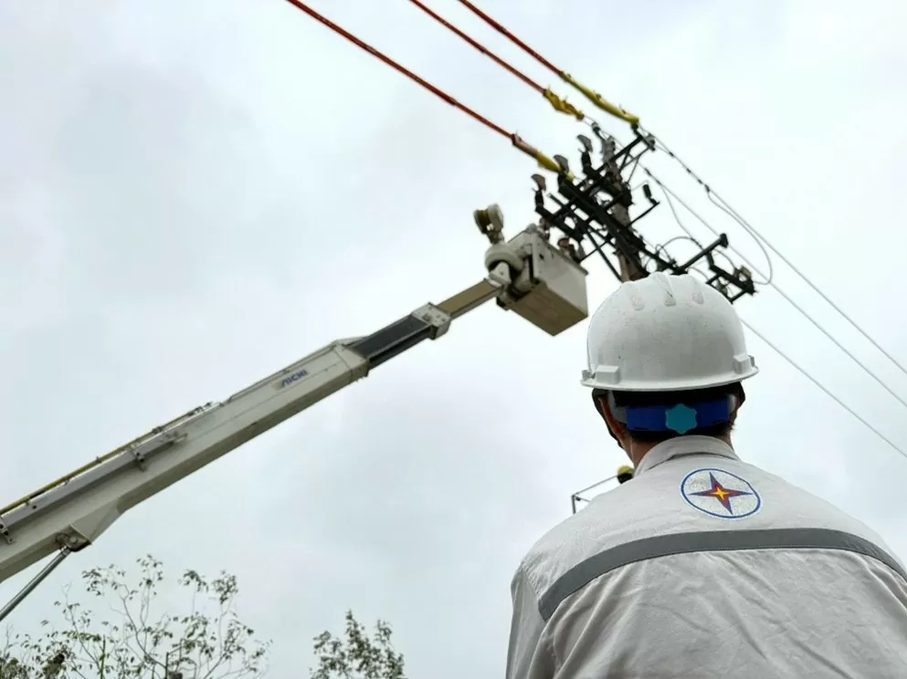 EVNHANOI tăng cường sửa chữa điện hotline để nâng cao chất lượng