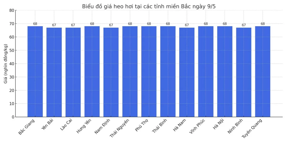 Giá heo hơi hôm nay 9/5/2025: Đồng loạt tăng trên toàn quốc