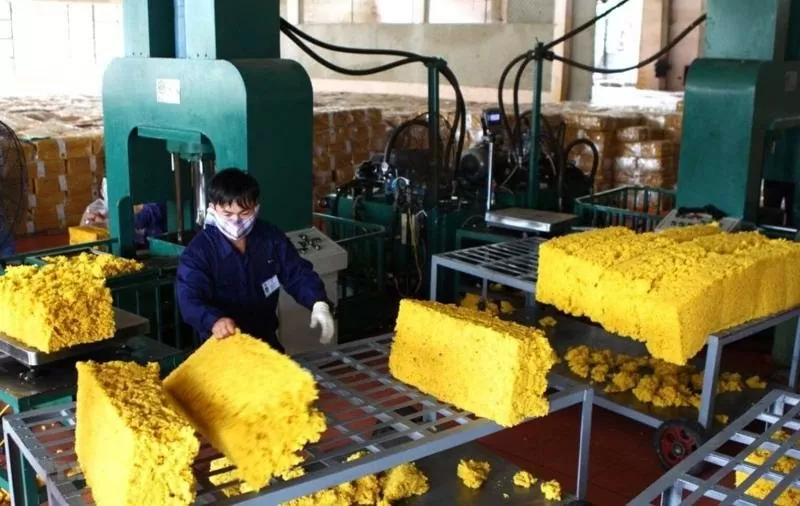 Giá cao su tăng, triển vọng xuất khẩu tiếp tục tươi sáng