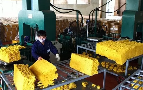 Giá cao su tăng, triển vọng xuất khẩu tiếp tục tươi sáng