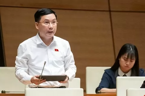 Đại biểu Lê Hoàng Anh: Chính sách thuế nước ngọt phải đủ mạnh để không đánh đổi bằng sinh mệnh