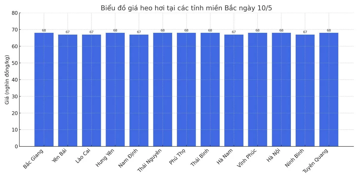 Biểu đồ giá heo hơi tại các tỉnh miền Bắc ngày 10/5.