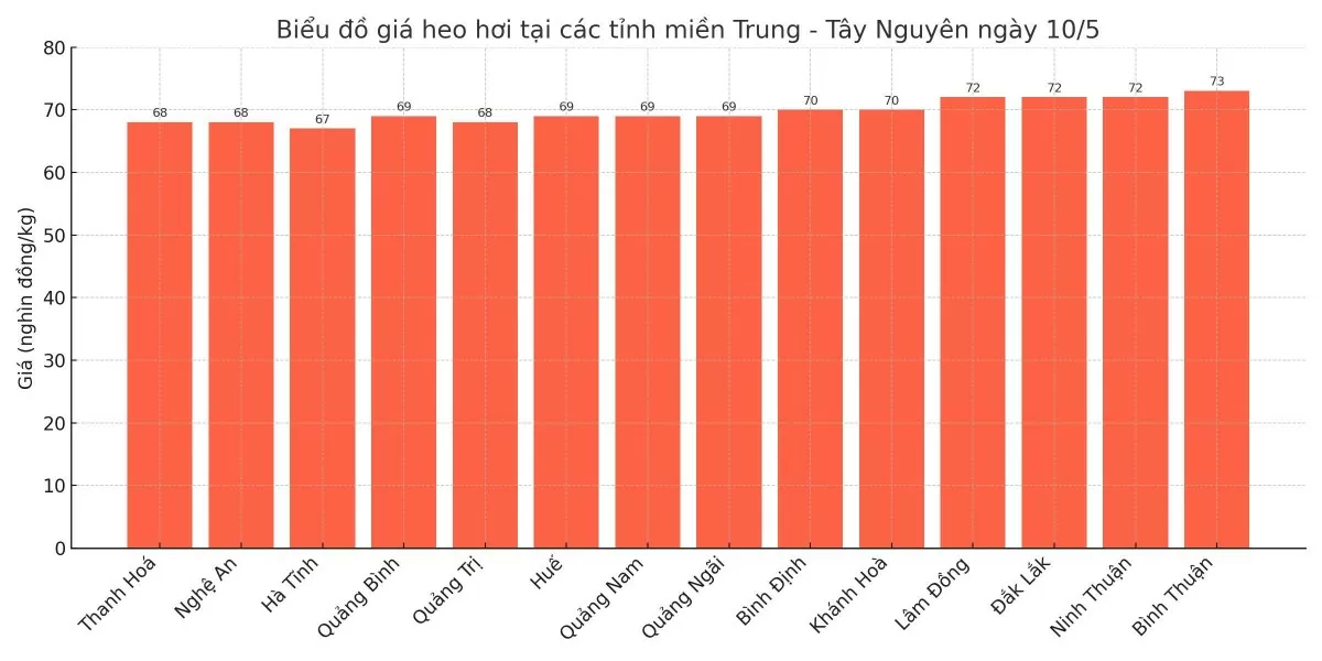 Biểu đồ giá heo hơi tại các tỉnh miền Trung - Tây Nguyên ngày 10/5.