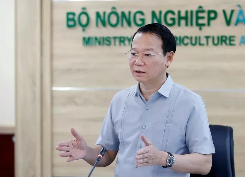 Sầu riêng mất giá, nhà vườn miền Tây ngóng giải pháp