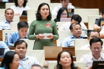 dai bieu quoc hoi len tieng ve nguoi noi tieng quang cao sai
