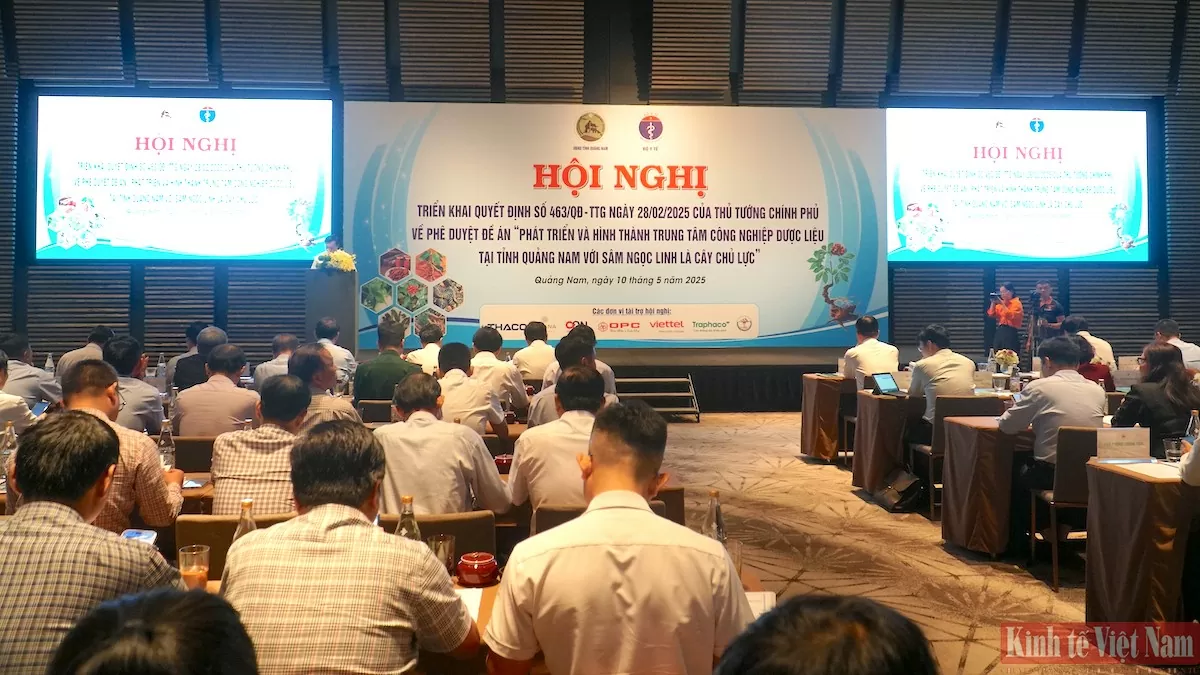 Hình thành trung tâm công nghiệp dược liệu tại tỉnh Quảng Nam