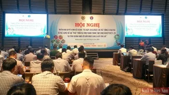 Hình thành trung tâm công nghiệp dược liệu tại tỉnh Quảng Nam