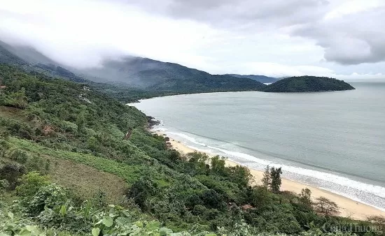 Lập Tổ công tác nghiên cứu ý tưởng lấn biển tại Vịnh Đà Nẵng